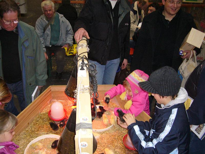 Erfurt Nationale 2008 696.jpg - Jugendstand